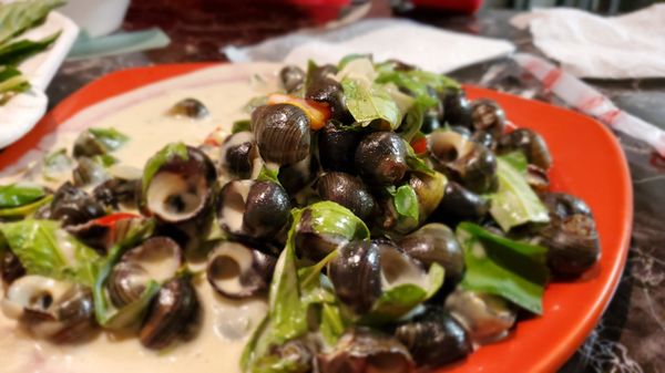 Steamed Snail With Coconut Milk