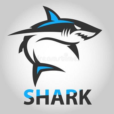 Shark Auto Service & Repair 