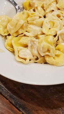 Pasta with white sauce