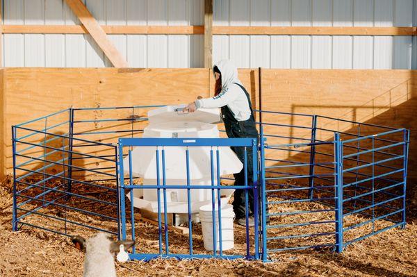 Sydell, Inc. equipment made for small farming goats and sheep: trough