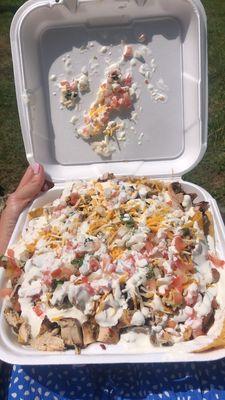 Large nachos w/ meat