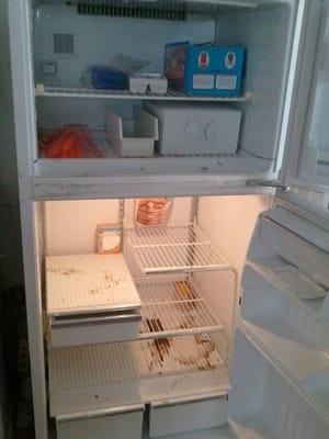 An apartment refrigerator prior to cleaning... eww :(