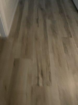 Laminated flooring throughout the kitchen bathroom and dining living room areas