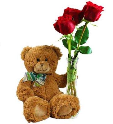 Teddy and Roses We deliver