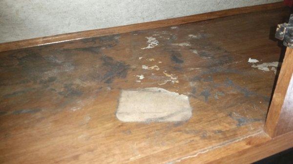 This is the mold that began growing in master bedroom closets, under my clothing.