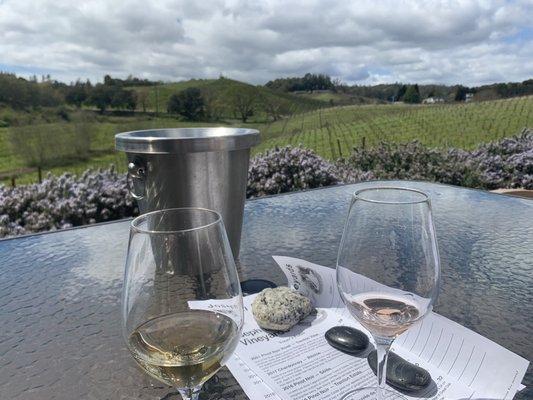 Outdoor tasting overlooking the vineyard