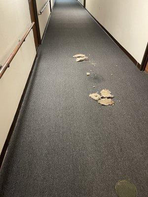 Ceiling tiles caved in from leaking pipes.