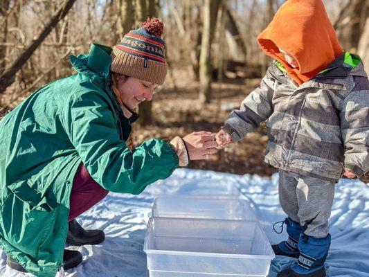 WildRoots Nature School