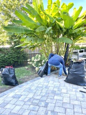 Yard clean up - weeding, mulching, trimming