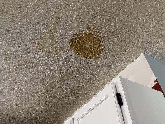 Water damage that has soaked the ceiling