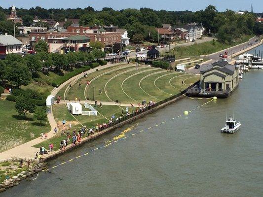 Rubber duckie race on the river