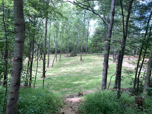 Grading, land prep, seed installation