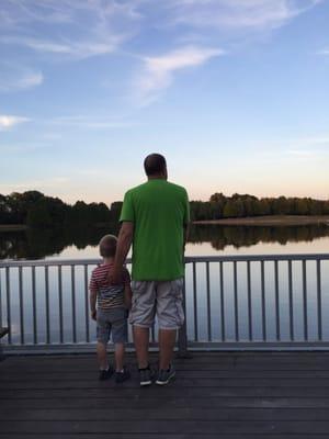 Looking out over the lake