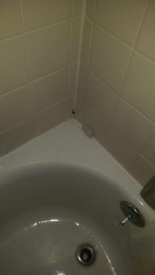 Bathtub corner black mold.