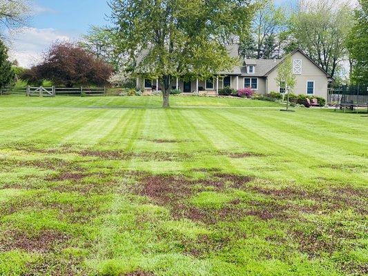 Lines for days!! Great looking home with a great looking cut!