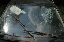 Windshields Plus La France