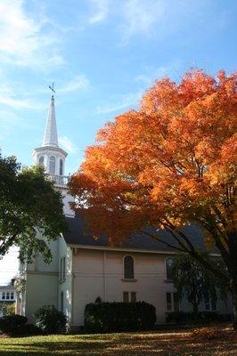 Trinity in the Fall