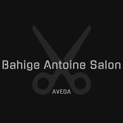 Bahige Antoine Salon