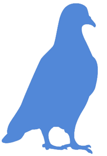 The Morningdove bird logo.