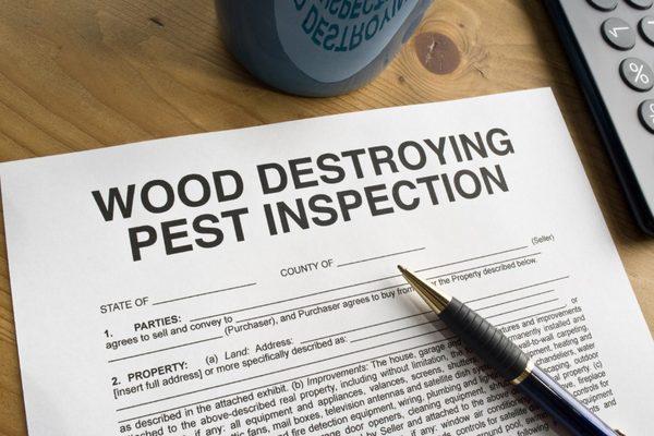 Termite Inspections