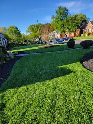 MZ Lawncare Service