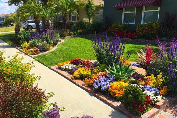 All South Florida Landscaping Services