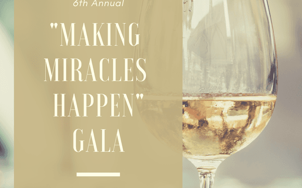 Please join us November 10, 2018 for our 6th annual fundraising gala, featuring Alan Krashesky of ABC7 as our emcee...