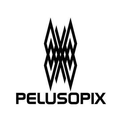 PelusoPix Media Solutions