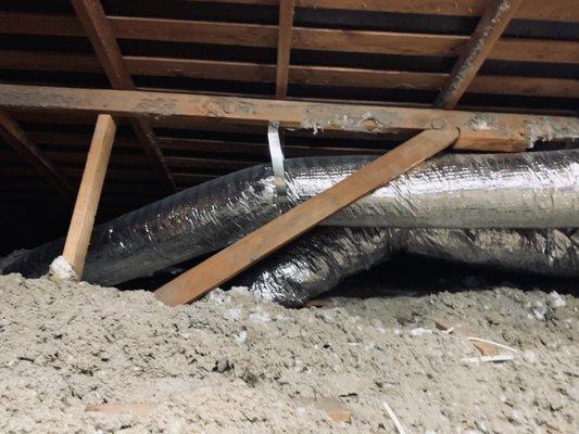 old insulation that needed to be removed