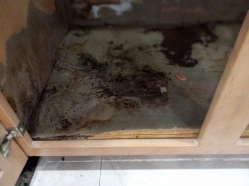 Kitchen cabinet damage, Mold growing along base