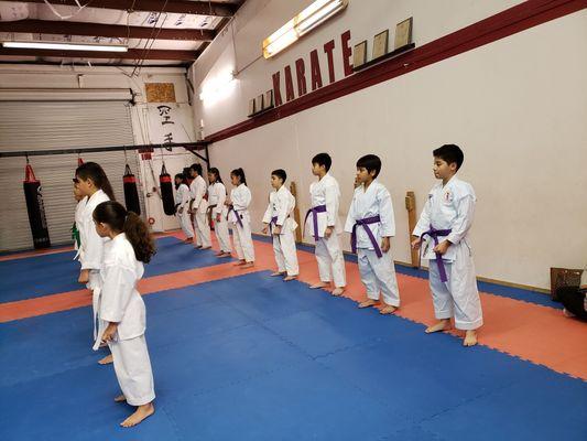 Dojo belt test promotion ceremony