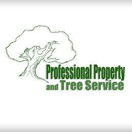 Professional Property Services