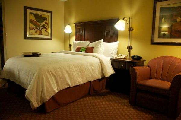 Hampton Inn Houston-The Woodlands