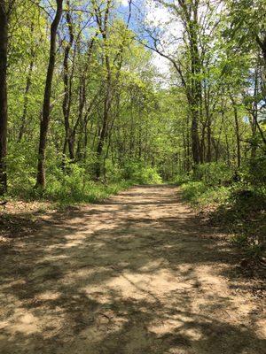 Unlike this portion, the Lewis Trail also has its challenges.