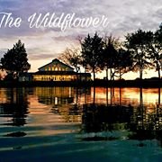 The Wildflower Wedding Venue sunset from the two acre pond