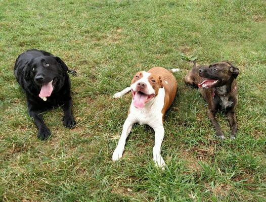 Sophia and friends enjoying some social time in our outdoor play space