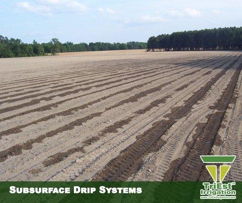 Subsurface Drip Systems