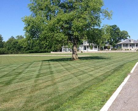 Beautifully manicured lawn by Executive Landscape