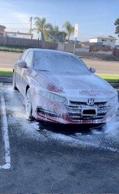 Soaped up Honda