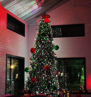 Christmas tree in main hall