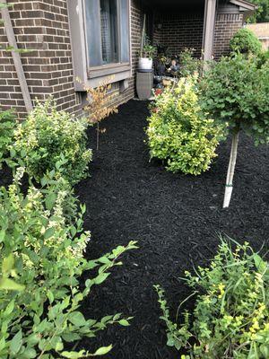 After we installed some fresh new black mulch in this customer's flower bed in Clarkston Michigan! Came out looking great!!