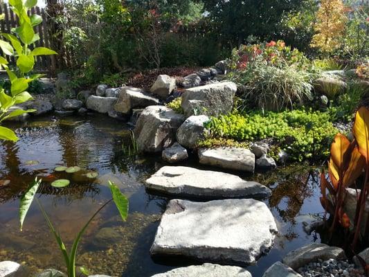 Larger pond with boulders and waterplants