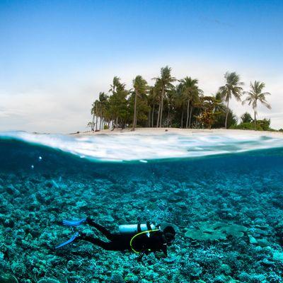 Scuba diver in the Caribbean