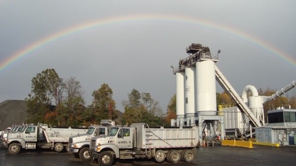 Sterling Plant - Rainbow