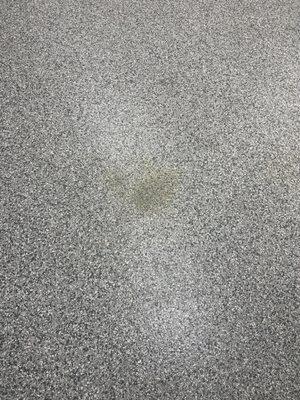 Stain that will not come out.