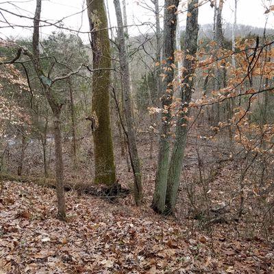 about a forty feet drop off on the Lenape Trail