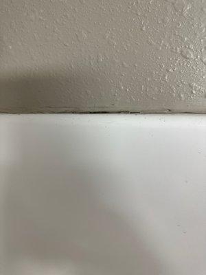 Bathroom mold