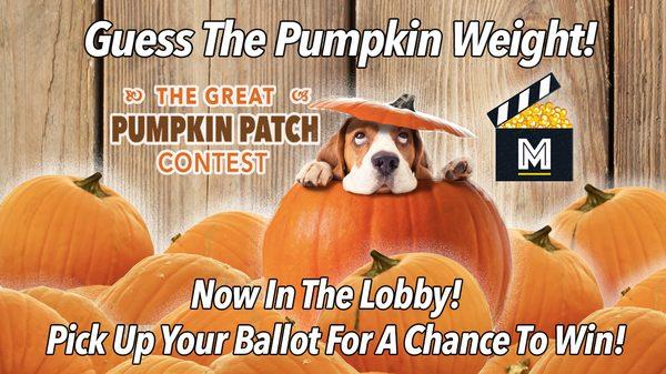 Go For The $100 Grand Prize In MovieScoop's Annual Great Pumpkin Patch Contest!