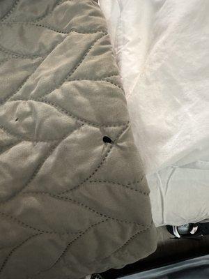 Cigarette burn in comforter in the "non-smoking" room