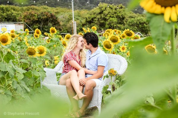 Capturing some love at the sunflower fields!